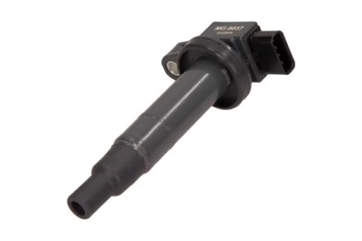 Ritė, uždegimas MAXGEAR 13-0174