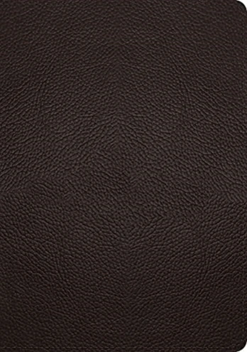 ESV Study Bible