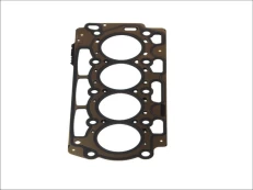 ELRING EL100430 Cylinder head gasket kaina
