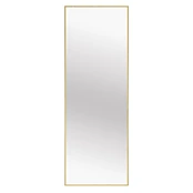 Viso ilgio veidrodis 160 x 50 cm kaina