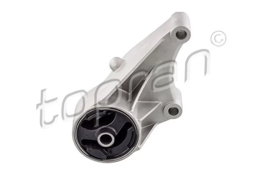 Variklio montavimas TOPRAN 207 040