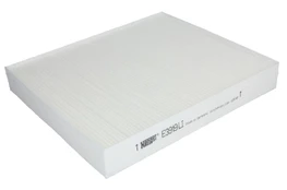 Salono filtras HENGST E3919LI kaina