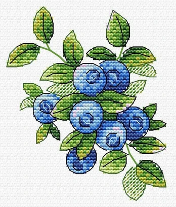 Forest blueberry SM-550