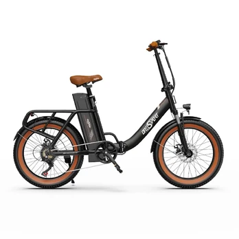 OneSport OT16-2 250 W 48V 17Ah elektrinis dviratis