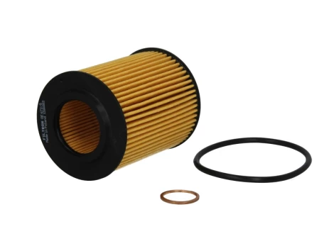 Alyvos filtras FILTRON OE672/5