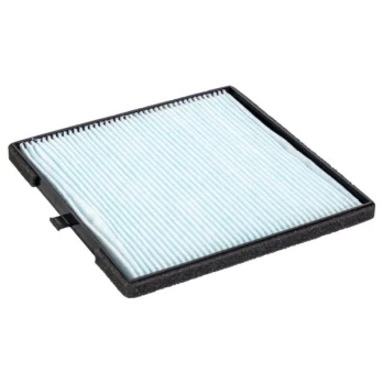Salono filtras BLUE PRINT ADG02516