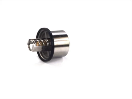 termostatas, aušinimo skystis THERMOTEC D2VO001TT