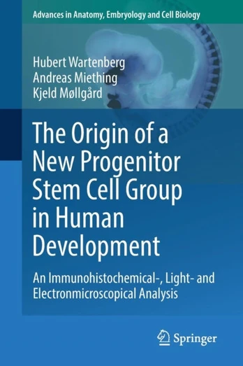Origin of a New Progenitor Stem Cell Group in Human Development