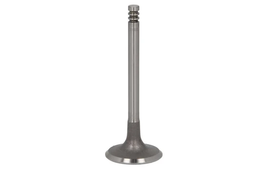 Įvado vožtuvas TRW Engine Component 39395