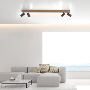 Paul Neuhaus lubinis šviestuvas Pure-lines