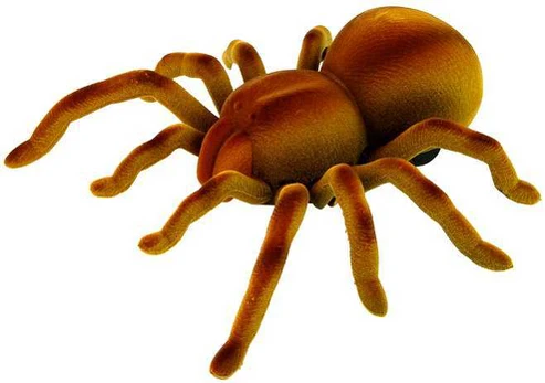 Voras Tarantula su nuotoliniu valdymu