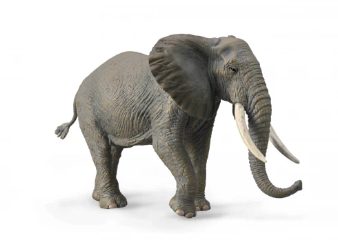 Figūrėlė Collecta COLLECTA AFRIKOS DRAMBLIS