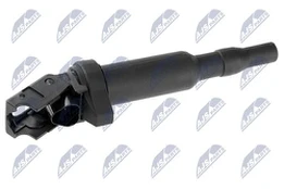 Ritė, uždegimas NTY ECZ-BM-004