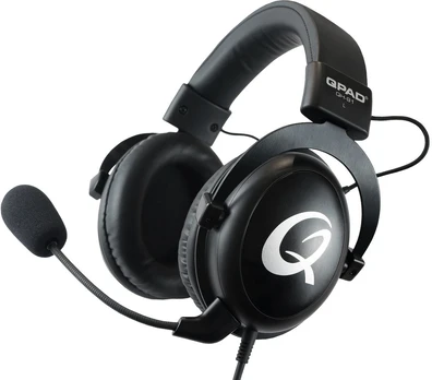 Ausinės Qpad QH91