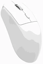 MROS257