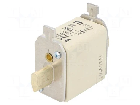 Fuse: fuse | quick blow | 100A | 500VAC | ceramic,industrial | NH00