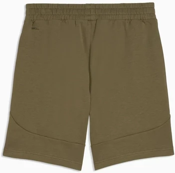 Puma Šortai Vyrams Pumatech Shorts Khaki 692182 81