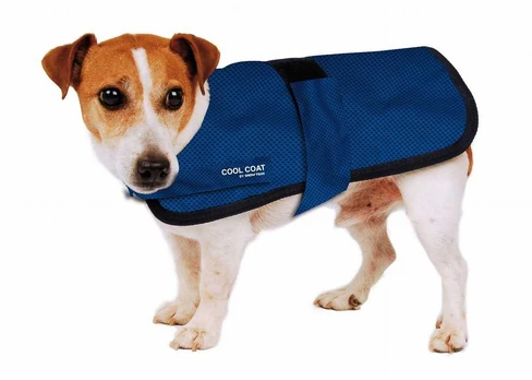 Show Tech Cool Coat Cooling Vest – Lightweight Breathable Design, 80 cm Size