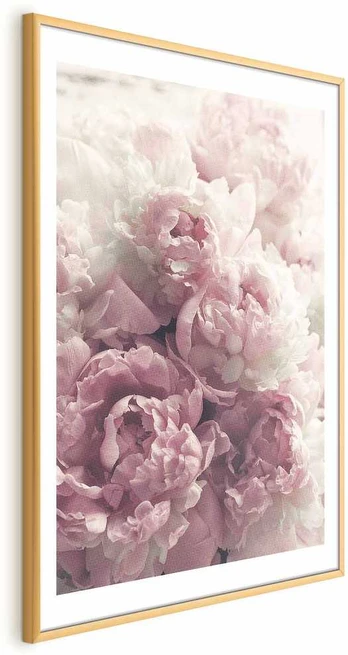 Artgeist Plakatas - Delicate Peonies