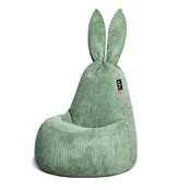 Sėdmaišis Daddy Rabbit Forest Feel Fit, žalias kaina