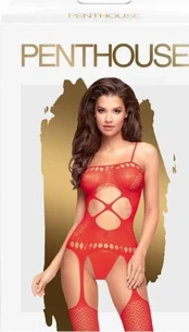 Penthouse Hot Nightfall Geometric Net Bodystocking Raudona S/L