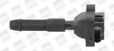 Ritė, uždegimas BorgWarner (BERU) ZS041