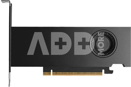RTX PRO 4000 Blackwell 24 GB GDDR7 192bit OEM
