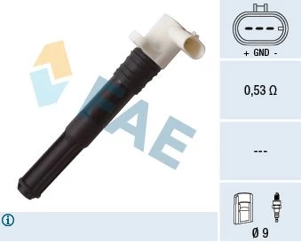 Ritė, uždegimas FAE 80266