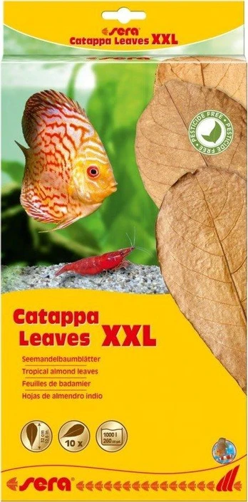 Sera Migdolų lapai - Catappa Leaves XXL, 32 cm, 10 vnt/PAK