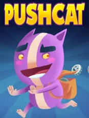 Pushcat PC kaina