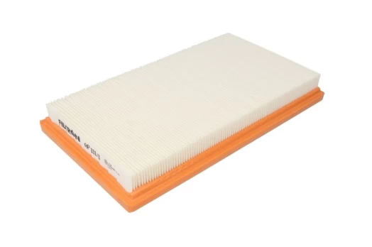 Oro filtras FILTRON AP111/1