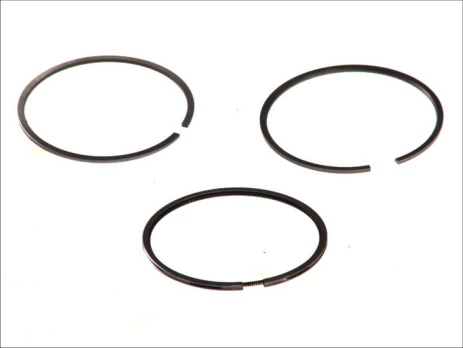 MAHLE 029 55 N0 Piston ring set