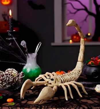 SCORPION SKELETON 30 cm