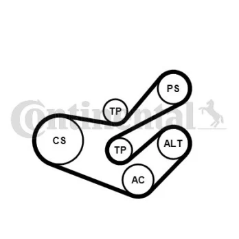 V formos rumbuotas diržas, komplektas CONTINENTAL CTAM 6PK1750K3