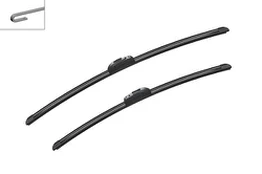 Valytuvai BOSCH 3397118991 kaina