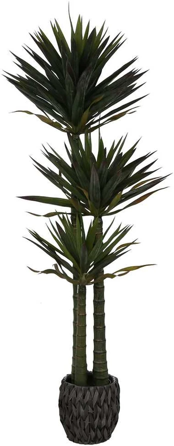 Dirbtinis augalas Juka, 170 cm