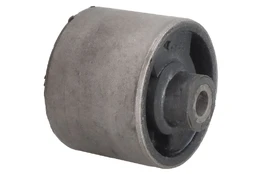 TED-GUM 00395841 Transmission mount kaina