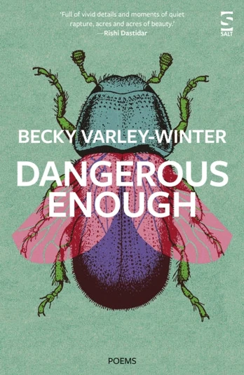 Dangerous Enough