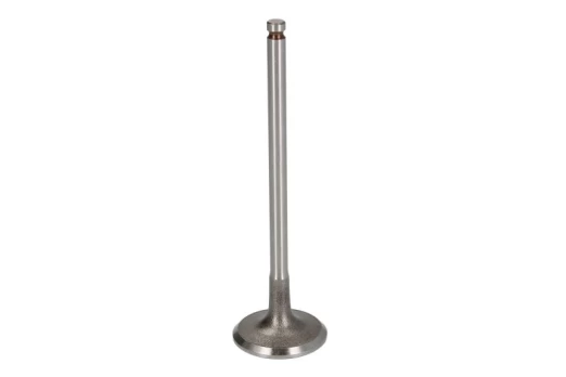 FRECCIA 6952/S Inlet valve