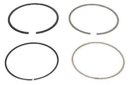 MAHLE 033 01 N0 Piston ring set kaina