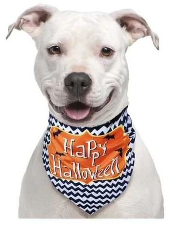 Fiesta Happy halloween tørklæde til hund