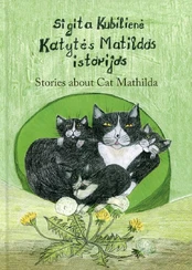 Katytės Matildos istorijos. Stories about Cat Mathilda kaina