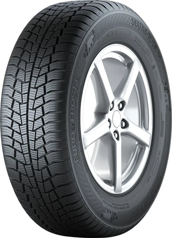 Gislaved Padangos EURO*FROST 6 91 T ( D C B 72dB )