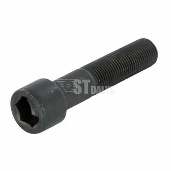 Šešiakampio lizdo varžtas M16x1.5x75