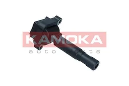 KAMOKA 7120051 Ritė, uždegimas