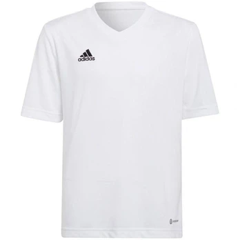 Adidas marškinėliai