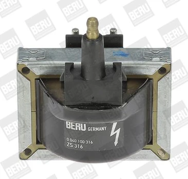 Ritė, uždegimas BorgWarner (BERU) ZS316