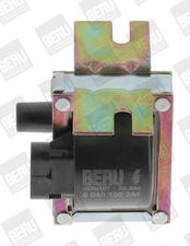 Ritė, uždegimas BorgWarner (BERU) ZS244