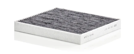 Salono filtras MANN-FILTER CUK 24 017 kaina