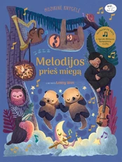 KNYGA Melodijos prieš miegą kaina